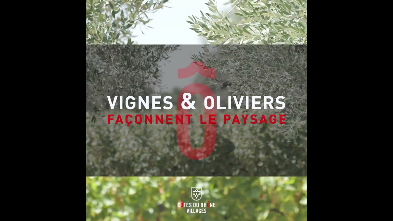 A la découverte des Côtes du Rhône Villages Saint-Andéol  