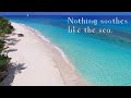 Tranquilitime: Blue Remedy 🌊💗 (Caribbean Beach in 4K)