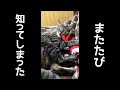またたびを知った猫。