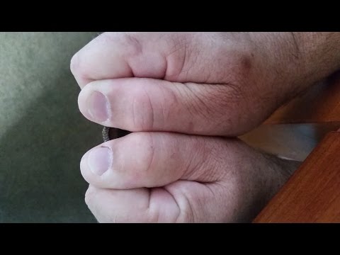 Acorn Whistle