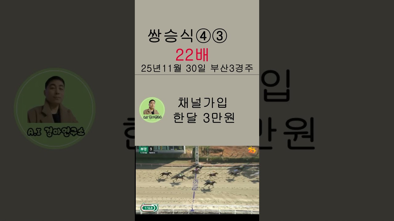12월5일 부산9경주