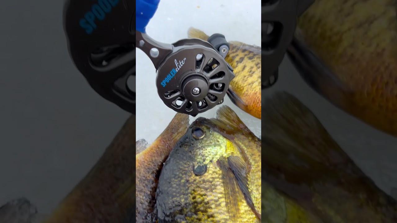 If you know, you know….The best ice fishing reel out there. 