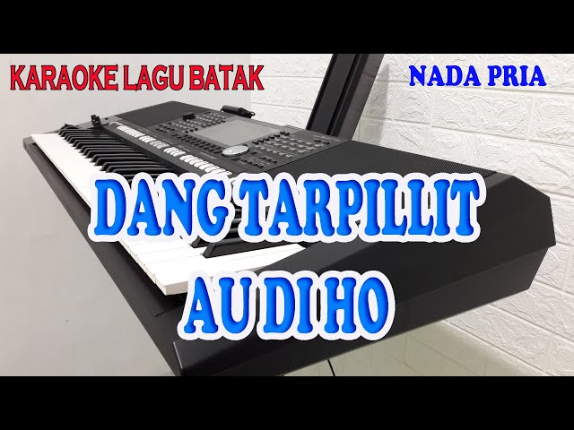 DANG TARPILLIT AU DI HO [KARAOKE LAGU BATAK] NADA PRIA D=DO class=