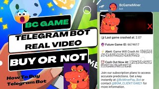 Bc Game Bot Real Or Fake bc game telegram bot prediction screenshot 4