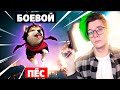 пушистый волк и его БОЕВАЯ САБАКА 🔥 битва на выживание В FREE FIRE