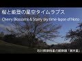 能登の美しい星空　桜と星のタイムラプス /Cherry Blossoms & Starry sky time-lapse…