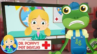 Gecko Fixes Andy the Ambulance! | Doctor Poppy - Animals For Kids | Cartoon Animals