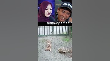KELAKUAN NYA MEMANG BEGITU DAH YA❗️❗️#shorts #andresuhen #videomeme #reactionvideo #lucu