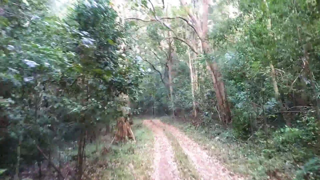camera iphone 8 plus apk Kerala Jungle safari_Thenmala Shendurney wildlife sanctuary