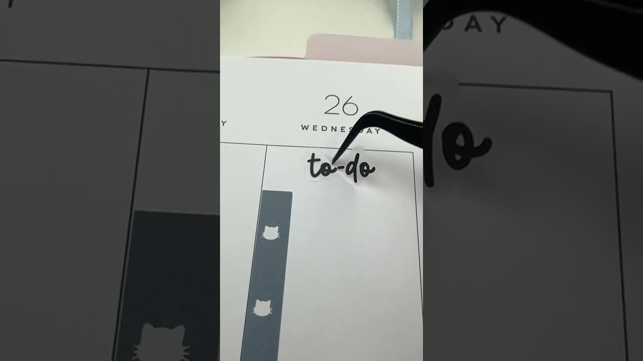 Decorate your planner with CAT STICKERS! plan with me | Rongrong CAT