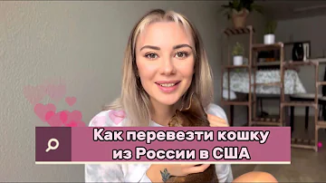 Сколько стоит перевезти животное