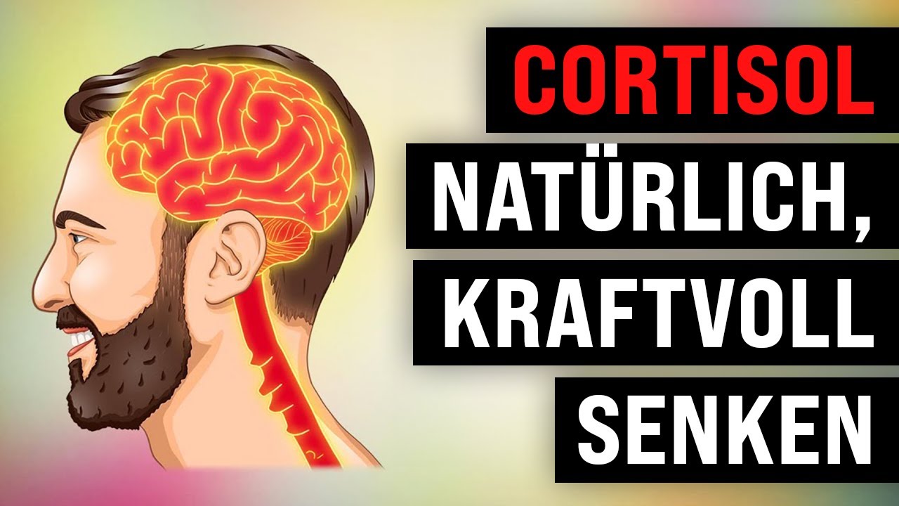 8 kraftvolle Wege, um CORTISOL natürlich zu senken - YouTube