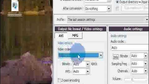 Pazera Free FLV to AVI Converter TuTorial