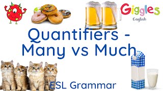 ESL Quantifiers - Many vs Much