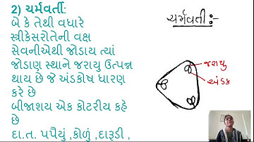 CC BOT 211(LEC 7) TBP