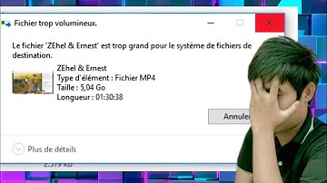Comment résoudre: Le fichier est trop grand pour le système de fichier de destination