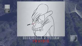 Secrinella feat. TECSAN - Invidie