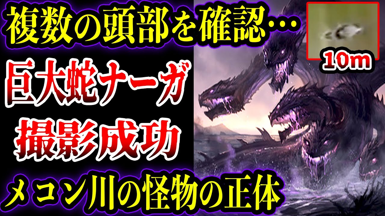 【ゆっくり解説】複数の頭部をもつ大蛇をハッキリ撮影…メコン川に潜む蛇神ナーガの目撃証言がヤバい 体長10mの巨大大蛇は古代生物の生き残りなのか ...