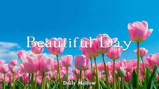 오늘도 차분하게, 그리고 편안하게 🌼 Beautiful Day | DAILY MELLOW