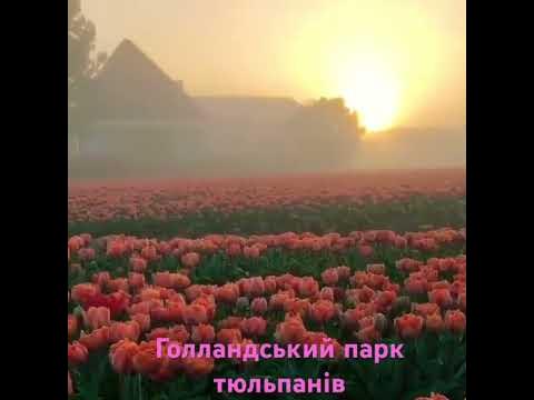 Нідерланди - YouTube