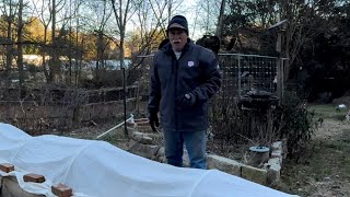 Garden Update for December 15, 2025
