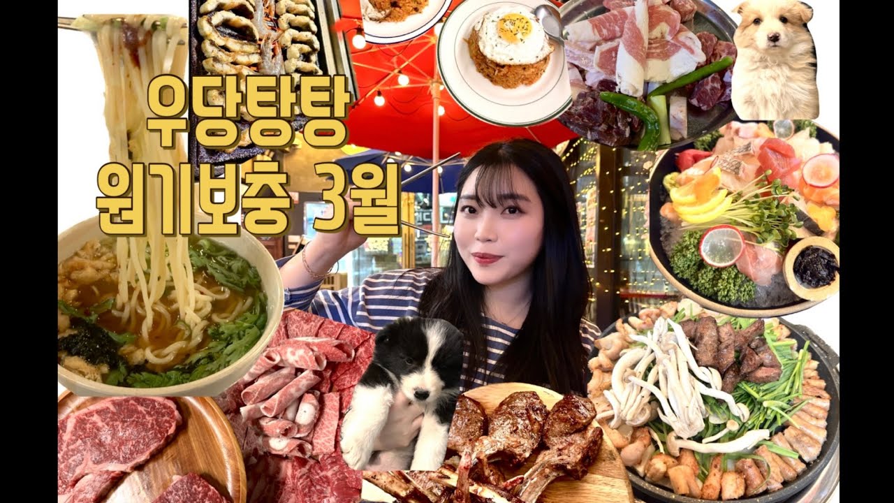 [3월 먹방 브이로그] 우당탕탕 원기보충! 딸기,탕후루,장어,한신포차,연탄구이,한우,곱창,회,김치볶음밥,항정살,목살,양갈비,코스트코,헬스,캠핑용품,소주,소맥