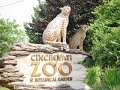 Cincinnati zoo and botanical garden full tour  cincinnati ohio