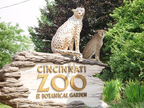 Cincinnati Zoo and Botanical Garden Full Tour - Cincinnati, Ohio