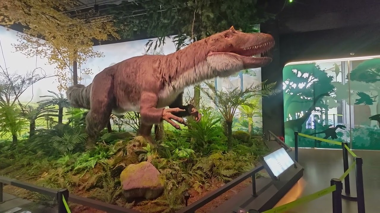 Step into Shenzhen Dinosaur Museum and see the ultra-realistic animatronic Tyrannosaurus we built. 