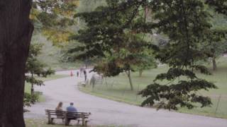 People Sitting on a Bench in the Park - Free HD Stock Footage (No Copyright)