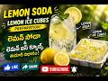 Refreshing Lemon Soda & Lemon Ice Cubes | Easy Summer Drink Recipe 🍋❄️