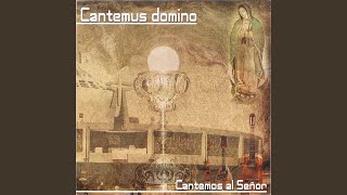 Video thumbnail of "Cantemus Domino - Señor ten piedad"