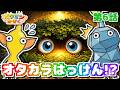【ピクミン★アニメ】おたからさがし！たからばこのなかみは…!?【ピクミンかぞく 第6話】【ピクミン4】【PIKMIN4】