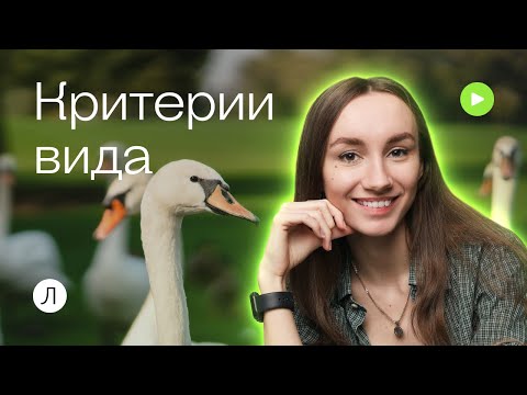 Критерии вида | Катя Грицай | Биология ЕГЭ