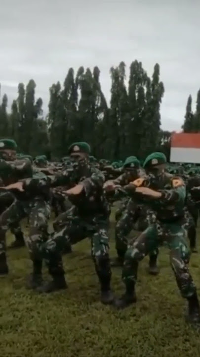 yelyel tni indonesia