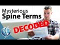 Mysterious Spine Terms Decoded