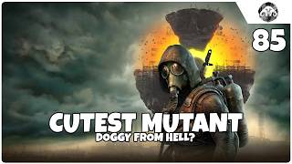 S.T.A.L.K.E.R. 2: Whos the Cutest Mutant Doggy from Hell? | Chapter 2 ep. 85