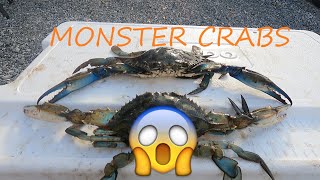 Catching MONSTER Blue Crabs  Best Day of Crabbing EVER  Best Way to Catch Monster Blue Crabs