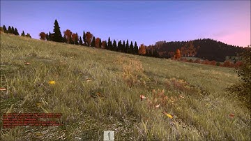DayZ Suicide