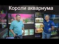 Короли аквариума