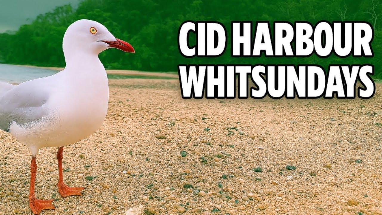 Cid Harbour, Whitsundays