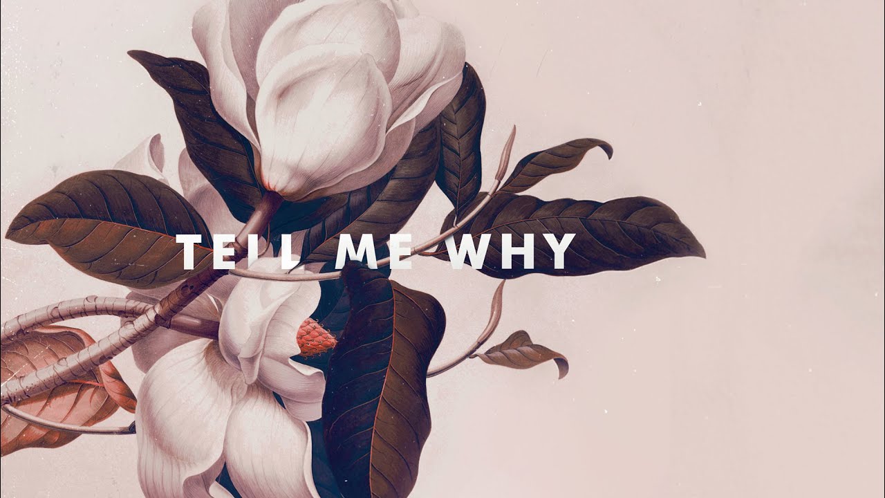 Watch KRANE - Tell Me Why (feat. Malika) on YouTube Watch KRANE - Tell Me Why (feat. Malika) on YouTube