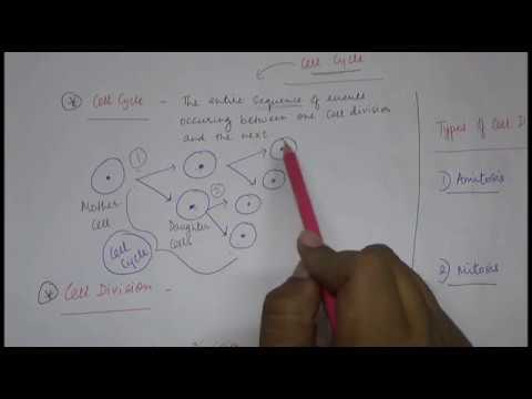icse-2020-biology-cell-division-||-icse-biology-2020-cell-division-||-icse-cell-division.