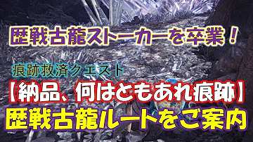 تحميل 歴戦 古龍 痕跡