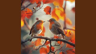 Meditation on Feathered Frequencies