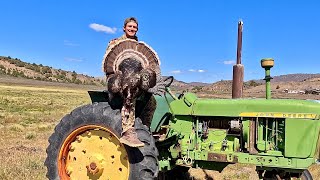 HIGH DESERT MERRIAM’S IN NEW MEXICO!!