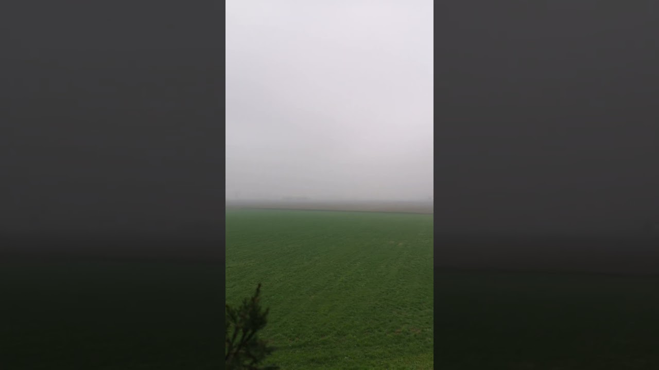 Arriverà la primavera. 