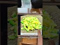 Extra-long feast video, don't miss 498 Japanese buffet.超長實吃爽片放送,498 日料自助別錯過#超長吃播 #日料自助 #吃播爽片#美食吃播