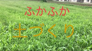 【緑肥による畑の土づくり】カチカチの土からフカフカの土を作って健康的な野菜をつくる方法。＃農業＃土づくり＃緑肥＃微生物＃堆肥