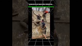 Çocuklar kızı alıp dışarı doğru yürümeye başlarlar